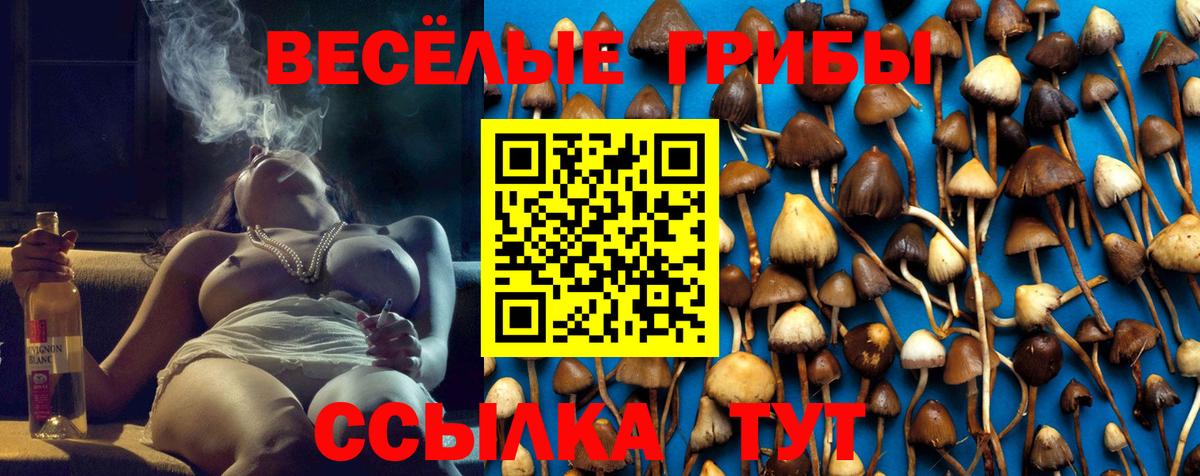 Псилоцибиновые грибы мицелий  Галлюциногенные грибы прущие грибы  Вход с VPN  Сарапул 