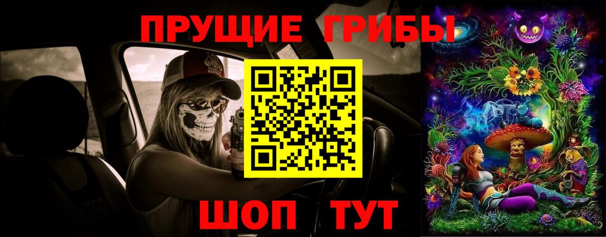Галлюциногенные грибы Psilocybe Сарапул